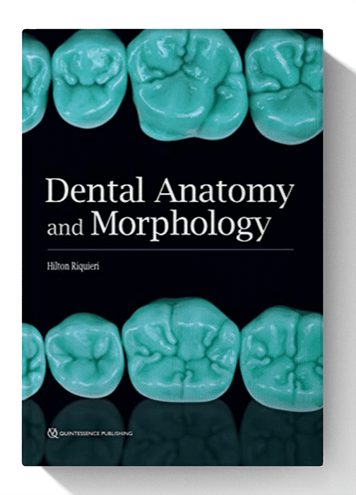 <font style="vertical-align: inherit;"><font style="vertical-align: inherit;">
	
	Anatomie et morphologie dentaires 1re édition
	</font></font>